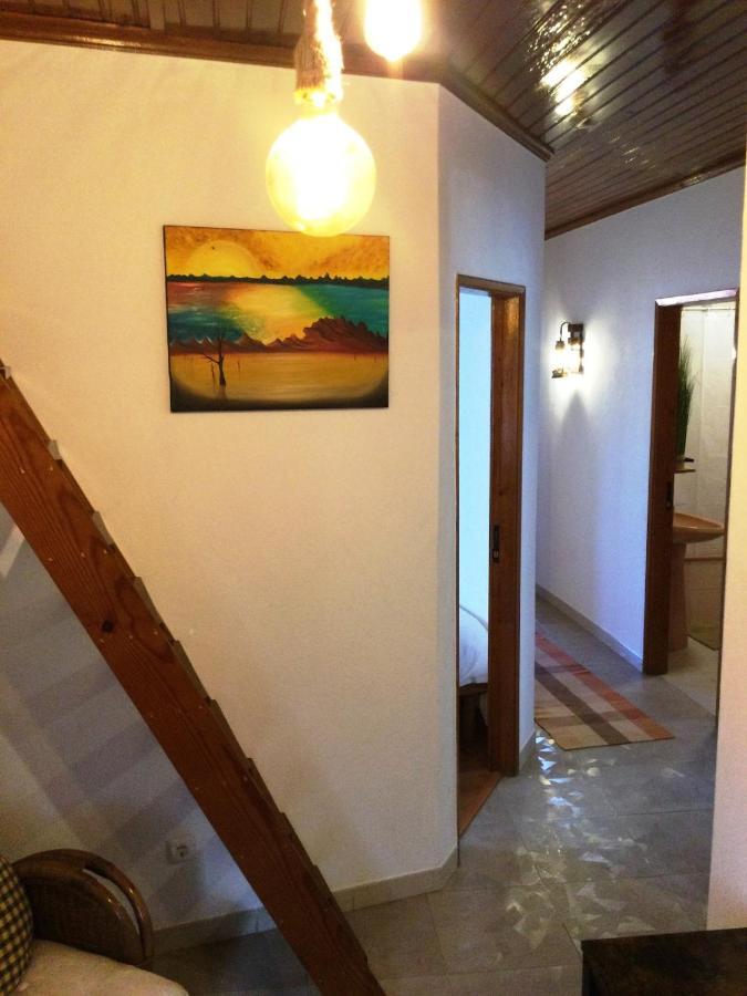 Art'Rio - Casa No Rio Em Dornesヴィラ エクステリア 写真